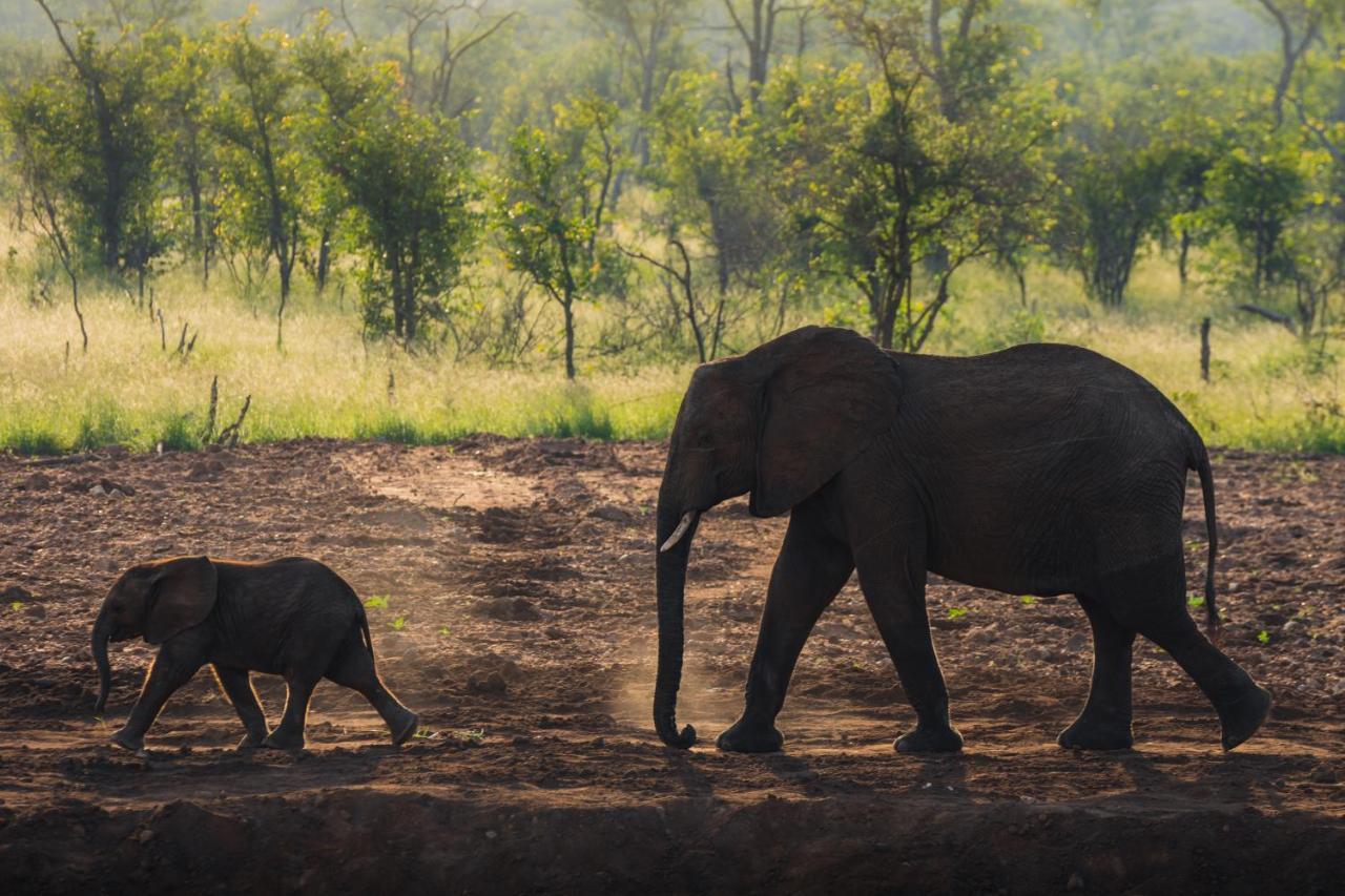 Milima Big 5 Safari Lodge Hoedspruit Exterior foto